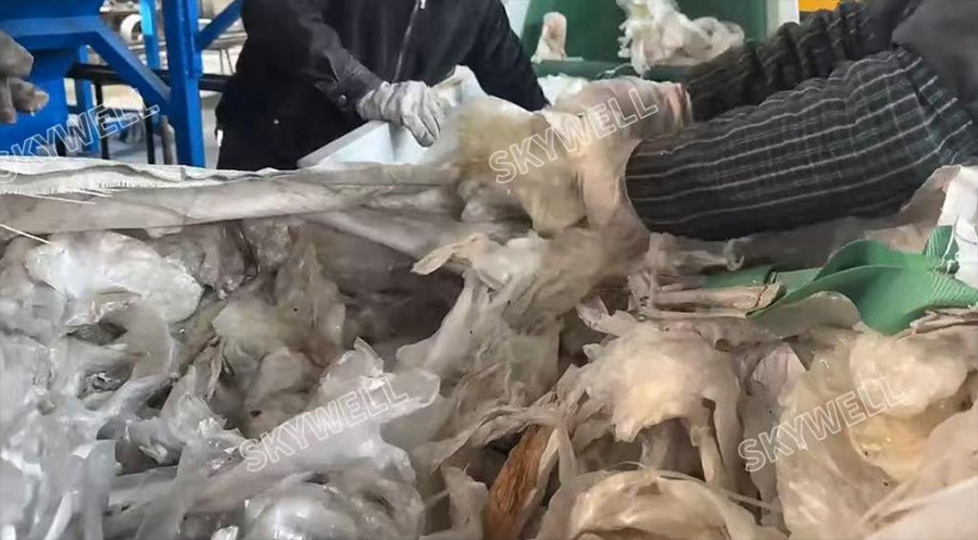 500kg/h Plastic PP PE Film Bag Washing and Pelletizing Machine testing for our Sri Lanka customer-SKYWELL Machinery 500kg/h Plastic PP PE Film Bag Washing and Pelletizing Machine testing for our Sri Lanka customer-SKYWELL Machinery